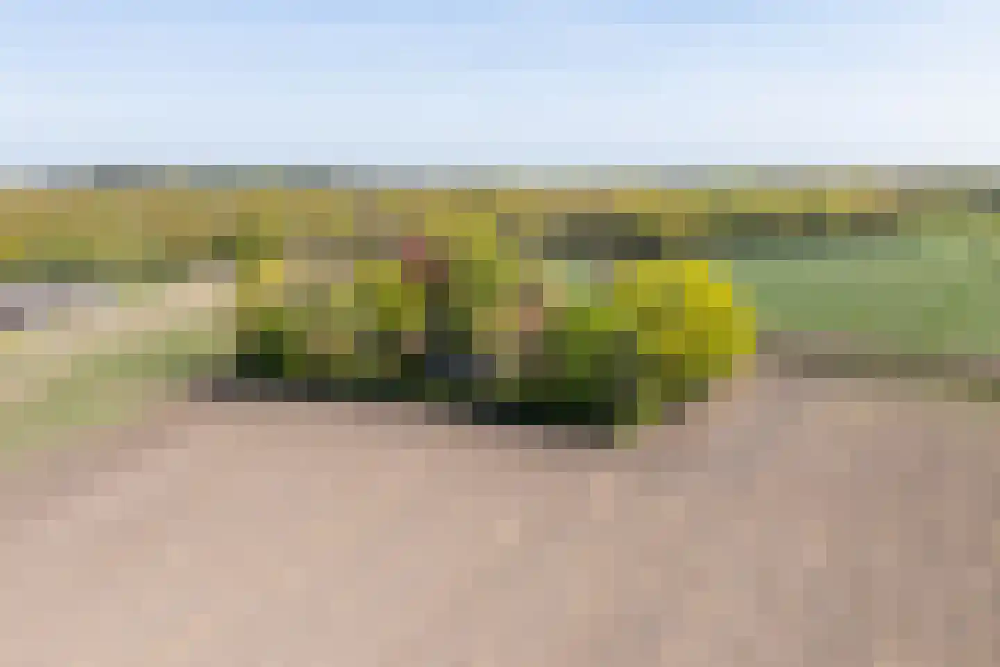 Leugemorsweg 1 Eibergen thumbnail 5