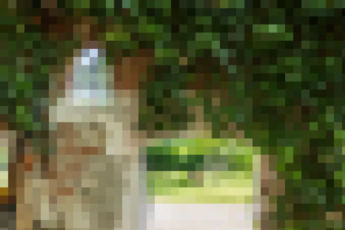Leugemorsweg 1 Eibergen thumbnail 50
