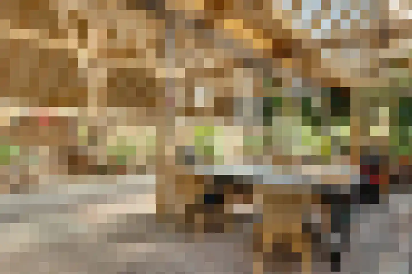 Leugemorsweg 1 Eibergen thumbnail 51