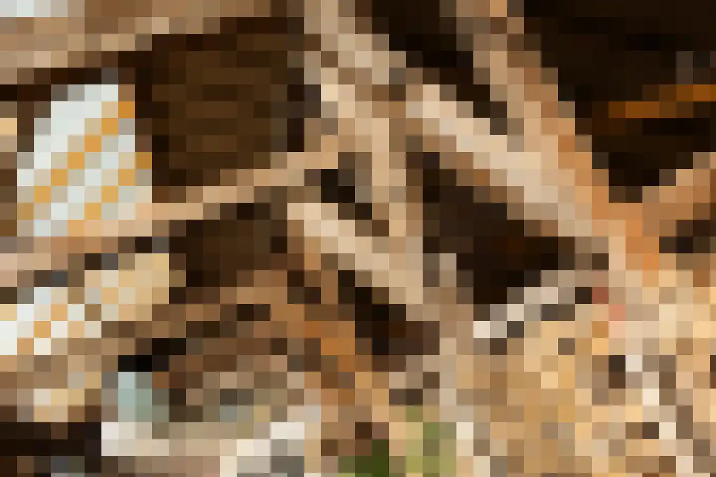 Leugemorsweg 1 Eibergen thumbnail 52