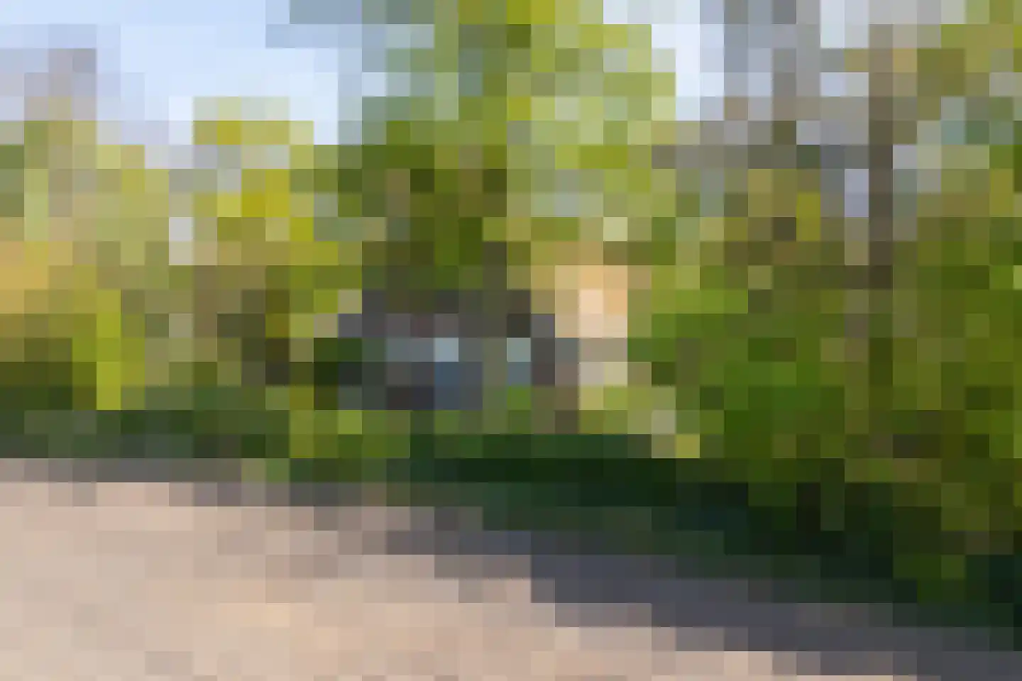 Leugemorsweg 1 Eibergen thumbnail 6