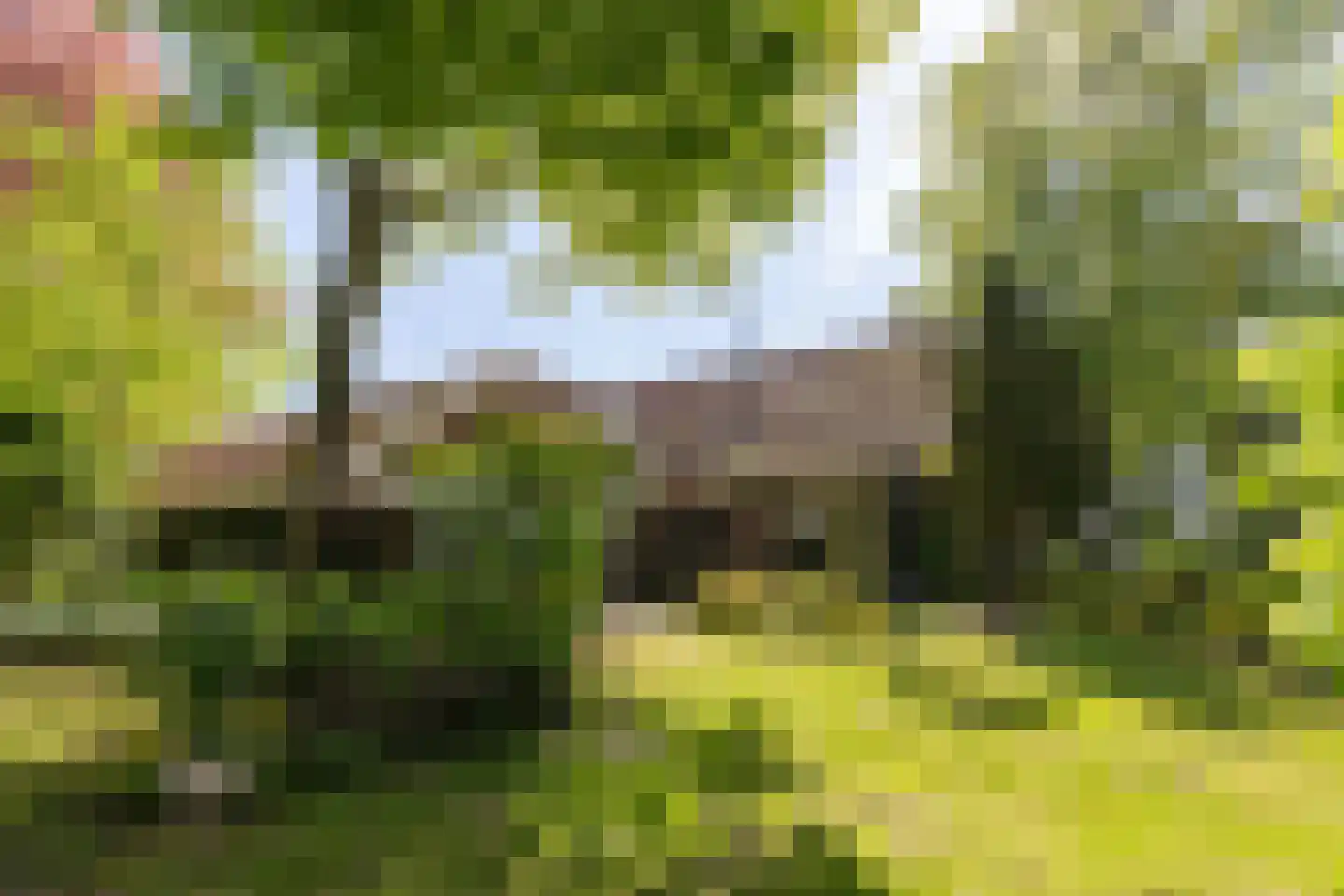 Leugemorsweg 1 Eibergen thumbnail 65