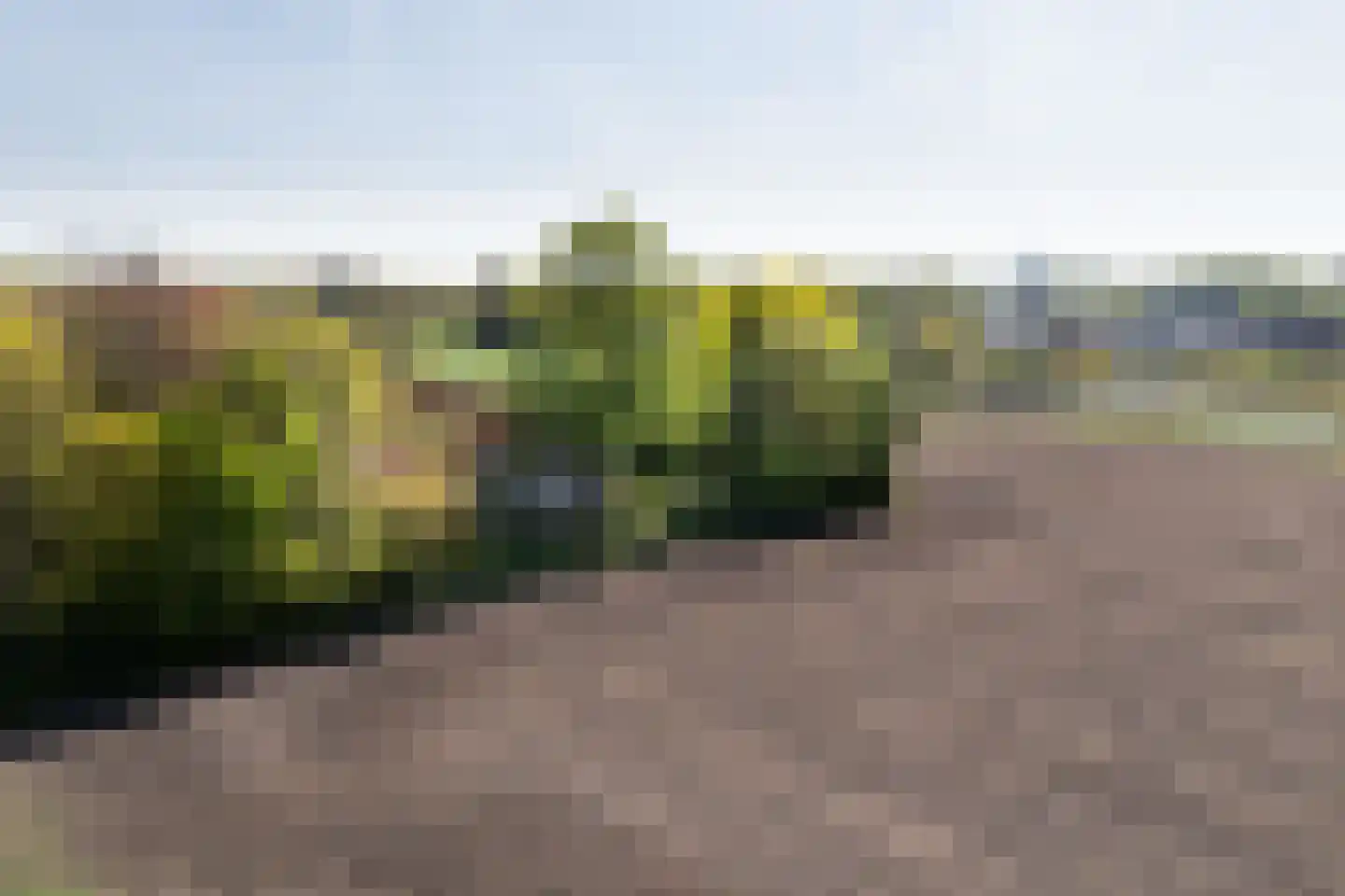 Leugemorsweg 1 Eibergen thumbnail 68