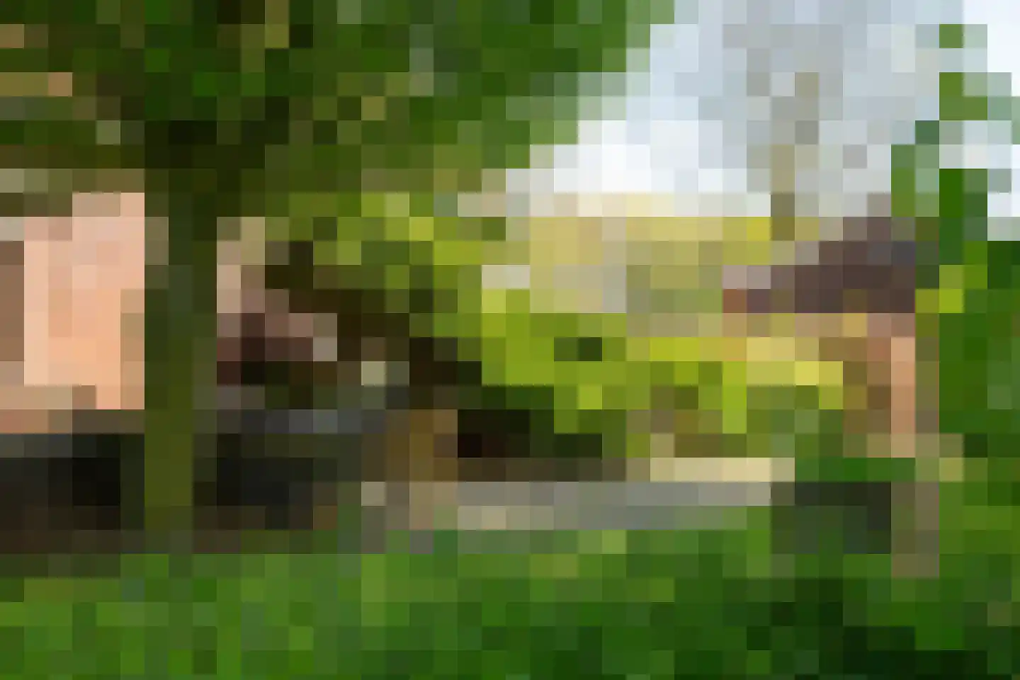 Leugemorsweg 1 Eibergen thumbnail 69