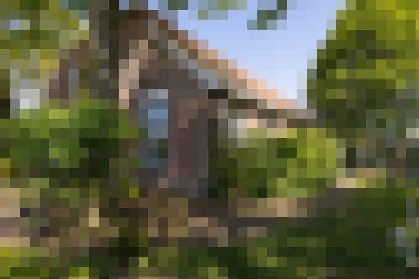 Leugemorsweg 1 Eibergen thumbnail 7