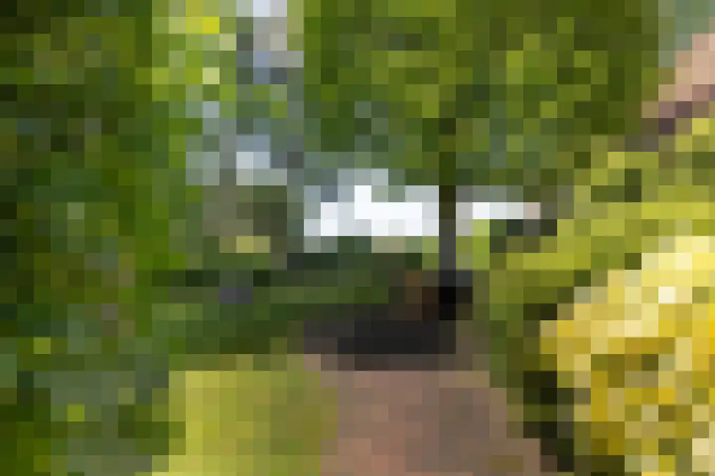 Leugemorsweg 1 Eibergen thumbnail 70
