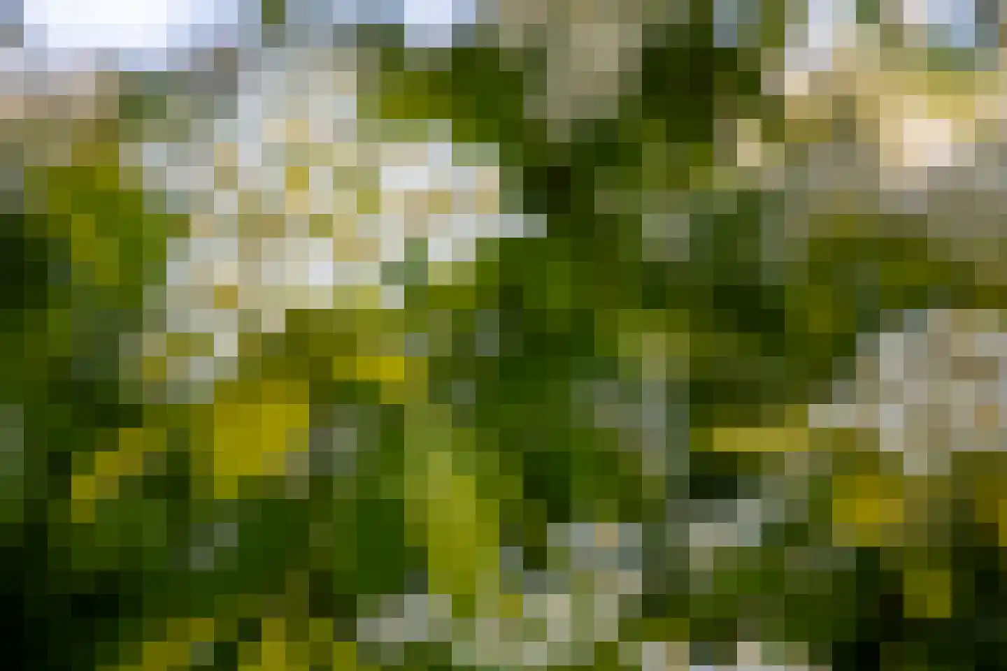 Leugemorsweg 1 Eibergen thumbnail 71