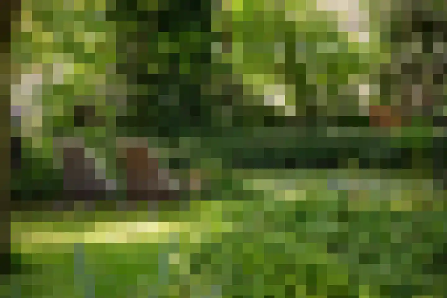 Leugemorsweg 1 Eibergen thumbnail 72