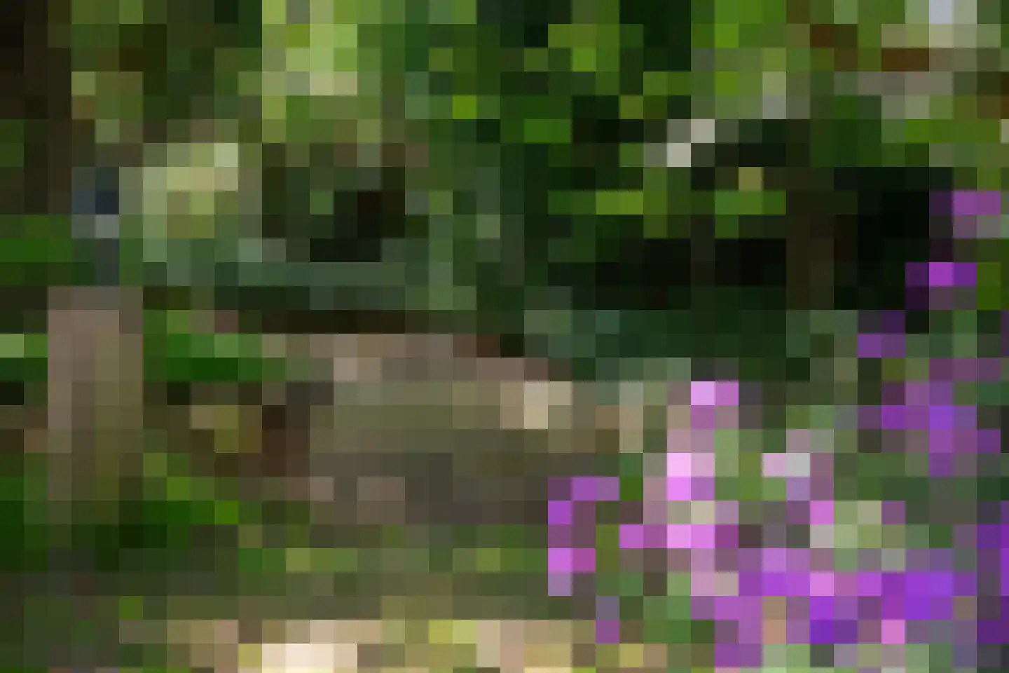 Leugemorsweg 1 Eibergen thumbnail 73