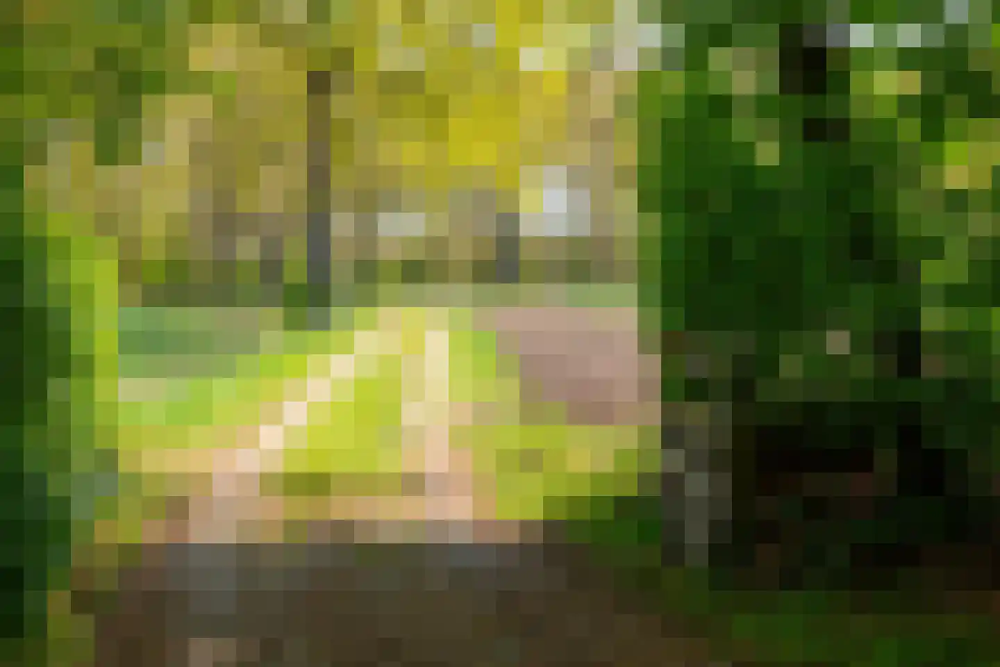 Leugemorsweg 1 Eibergen thumbnail 74