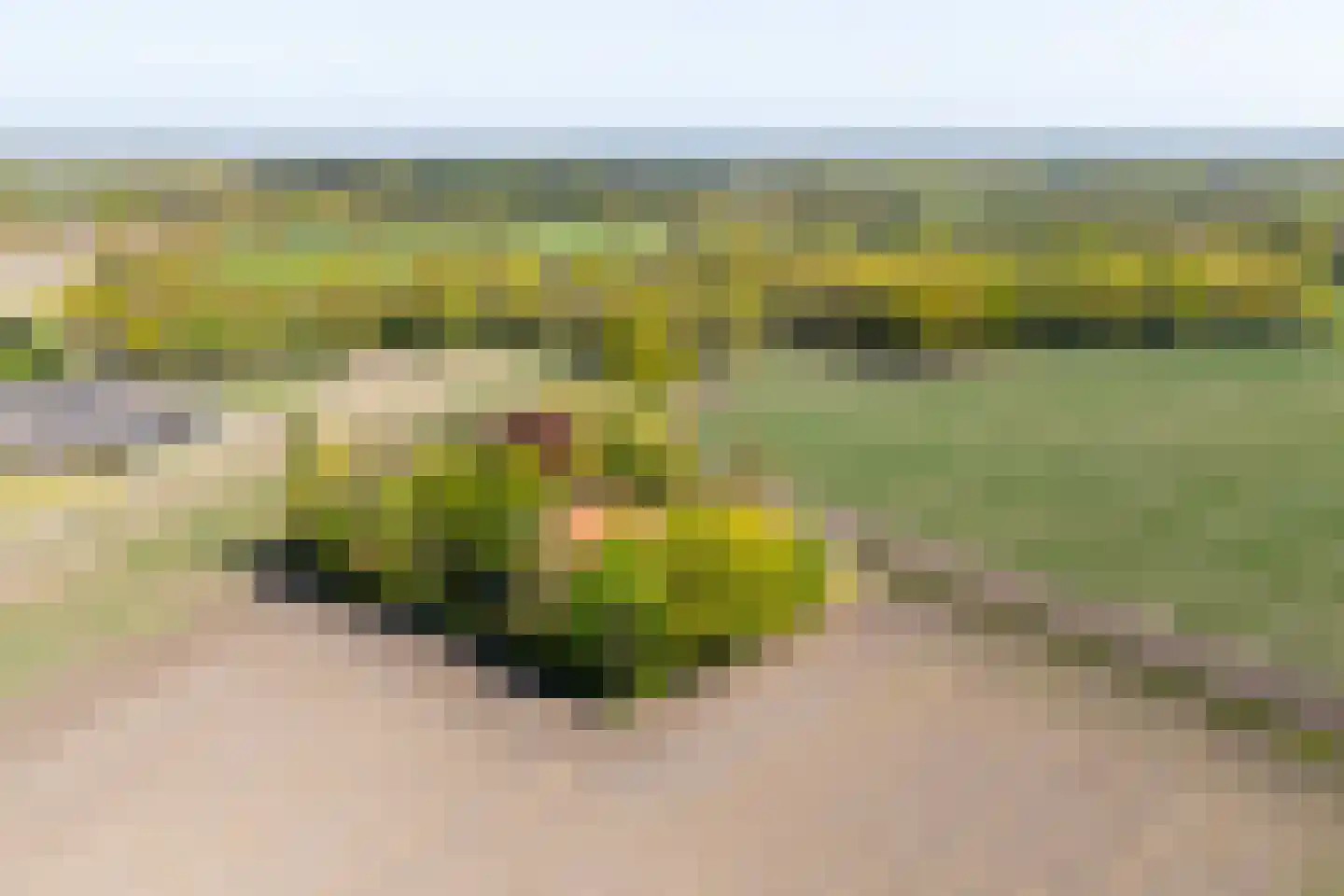 Leugemorsweg 1 Eibergen thumbnail 75