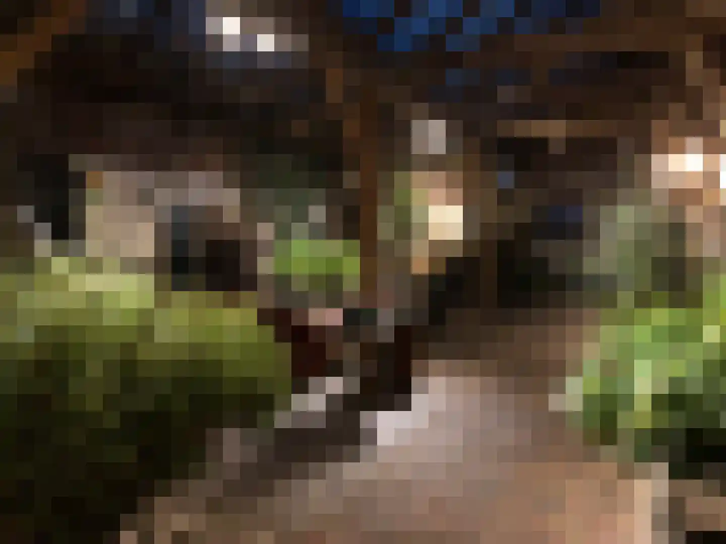 Leugemorsweg 1 Eibergen thumbnail 81