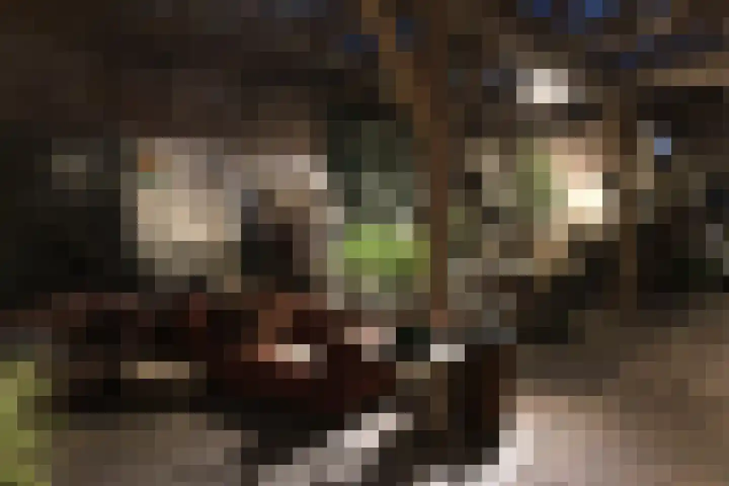 Leugemorsweg 1 Eibergen thumbnail 82