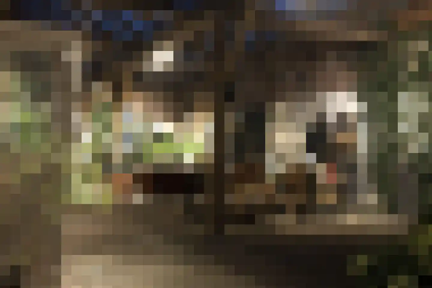 Leugemorsweg 1 Eibergen thumbnail 83