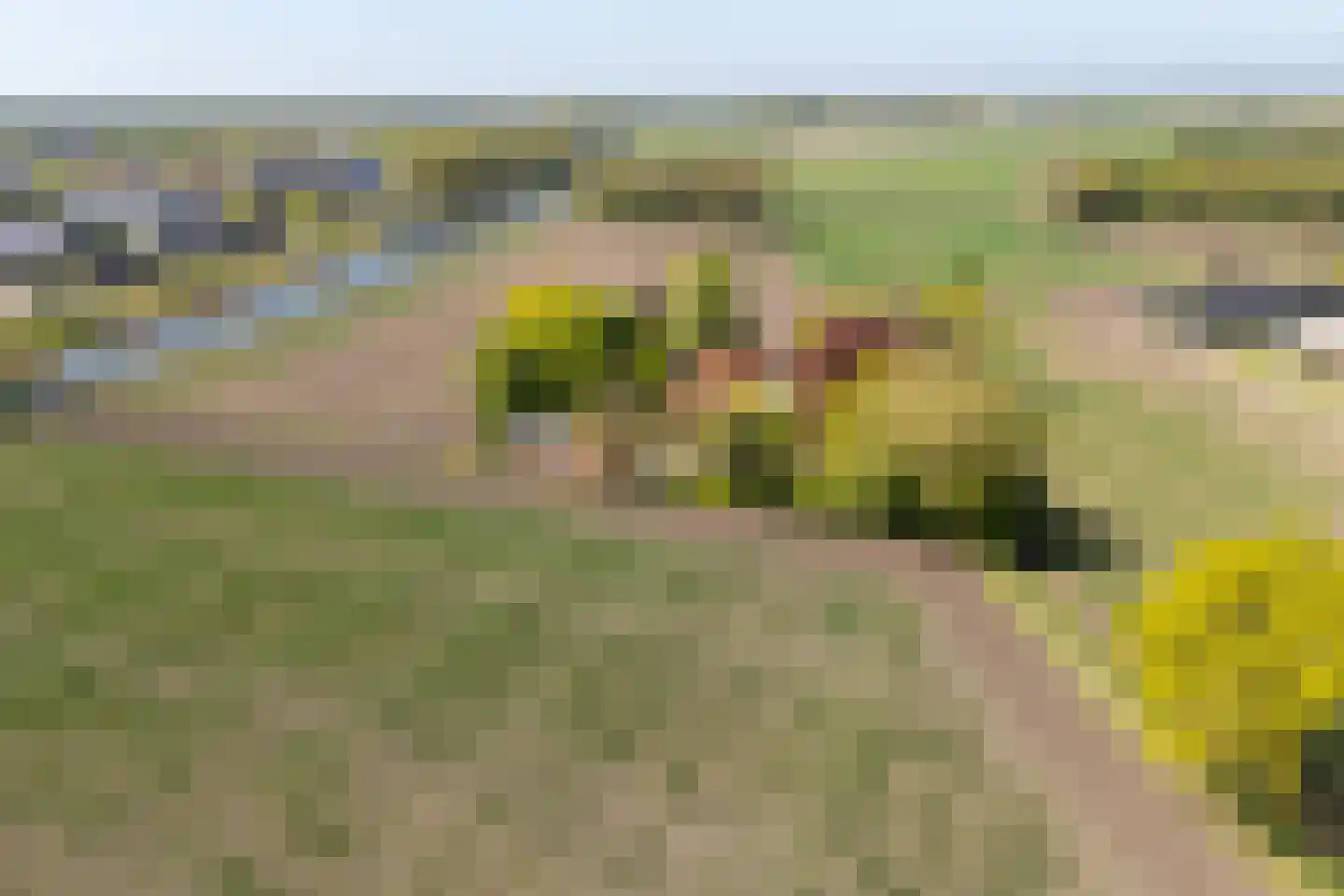 Leugemorsweg 1 Eibergen thumbnail 9