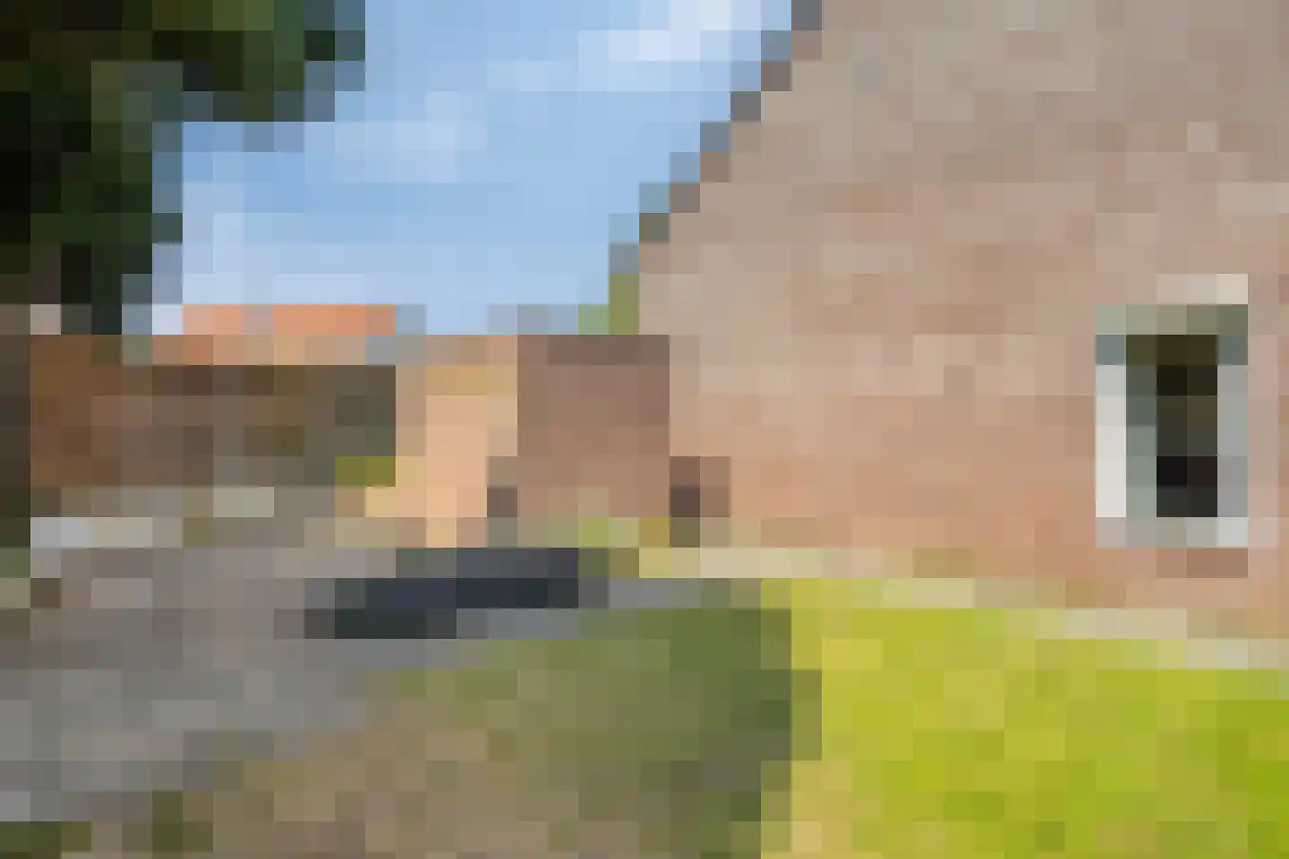 Leukenhof 3 Beegden thumbnail 30