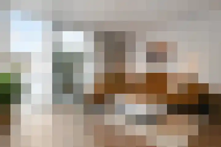 Leukerhof 22 Weert thumbnail 18