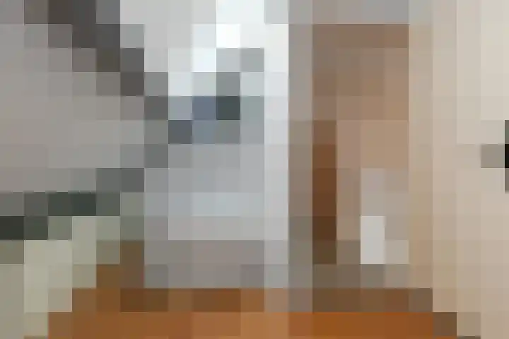 Leukerhof 22 Weert thumbnail 32