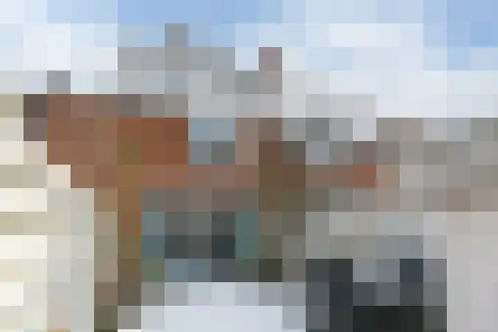 Leukerhof 22 Weert thumbnail 37