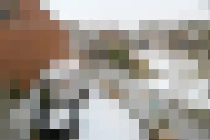 Leukerhof 22 Weert thumbnail 38