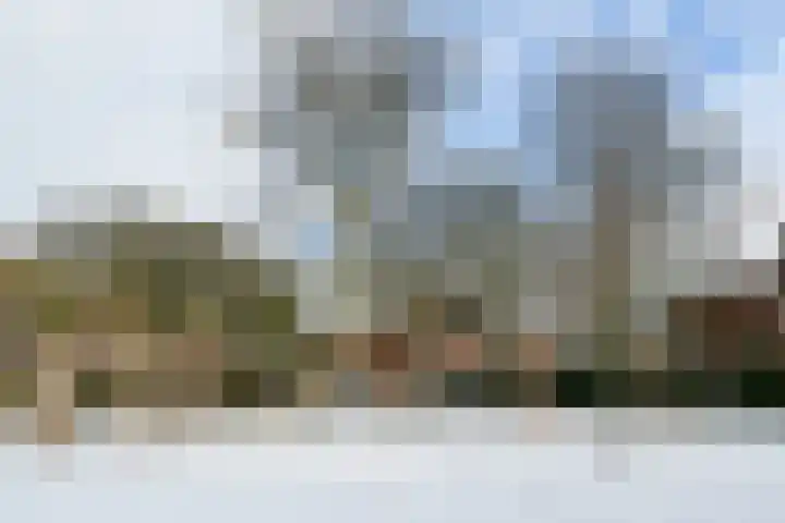 Leukerhof 22 Weert thumbnail 39