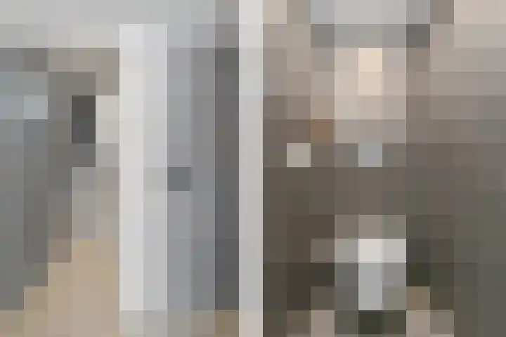 Leukerhof 22 Weert thumbnail 8
