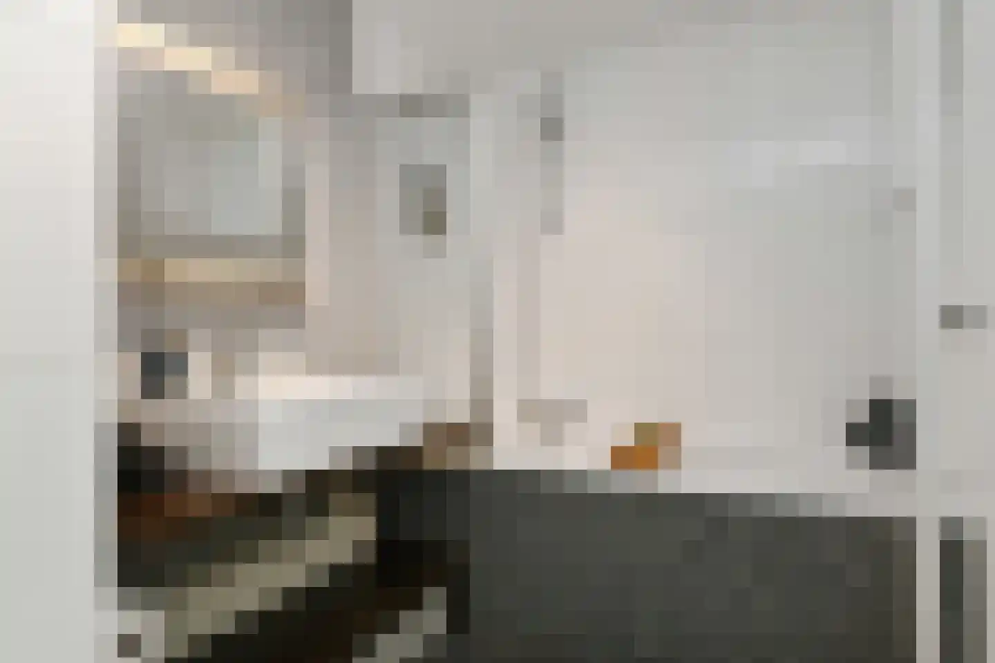 Leukerhof 24 Weert thumbnail 27