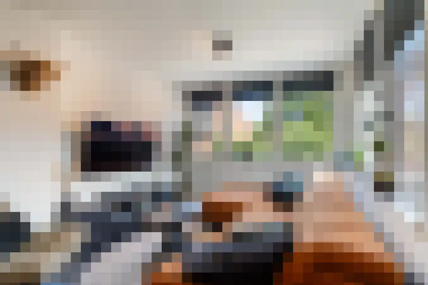 Leukerhof 27 Weert thumbnail 13