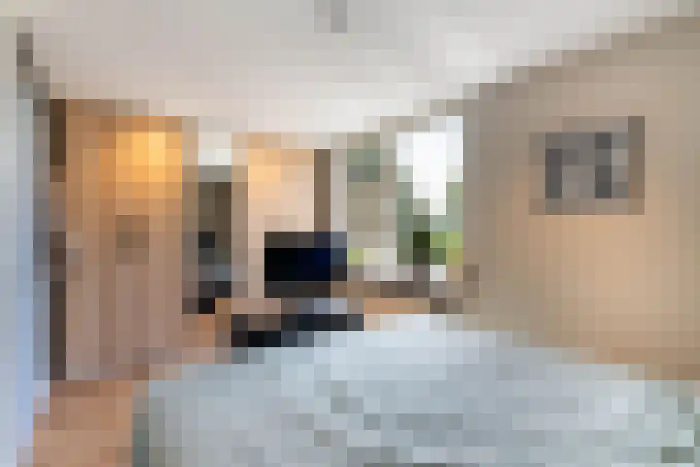 Leukerhof 27 Weert thumbnail 18