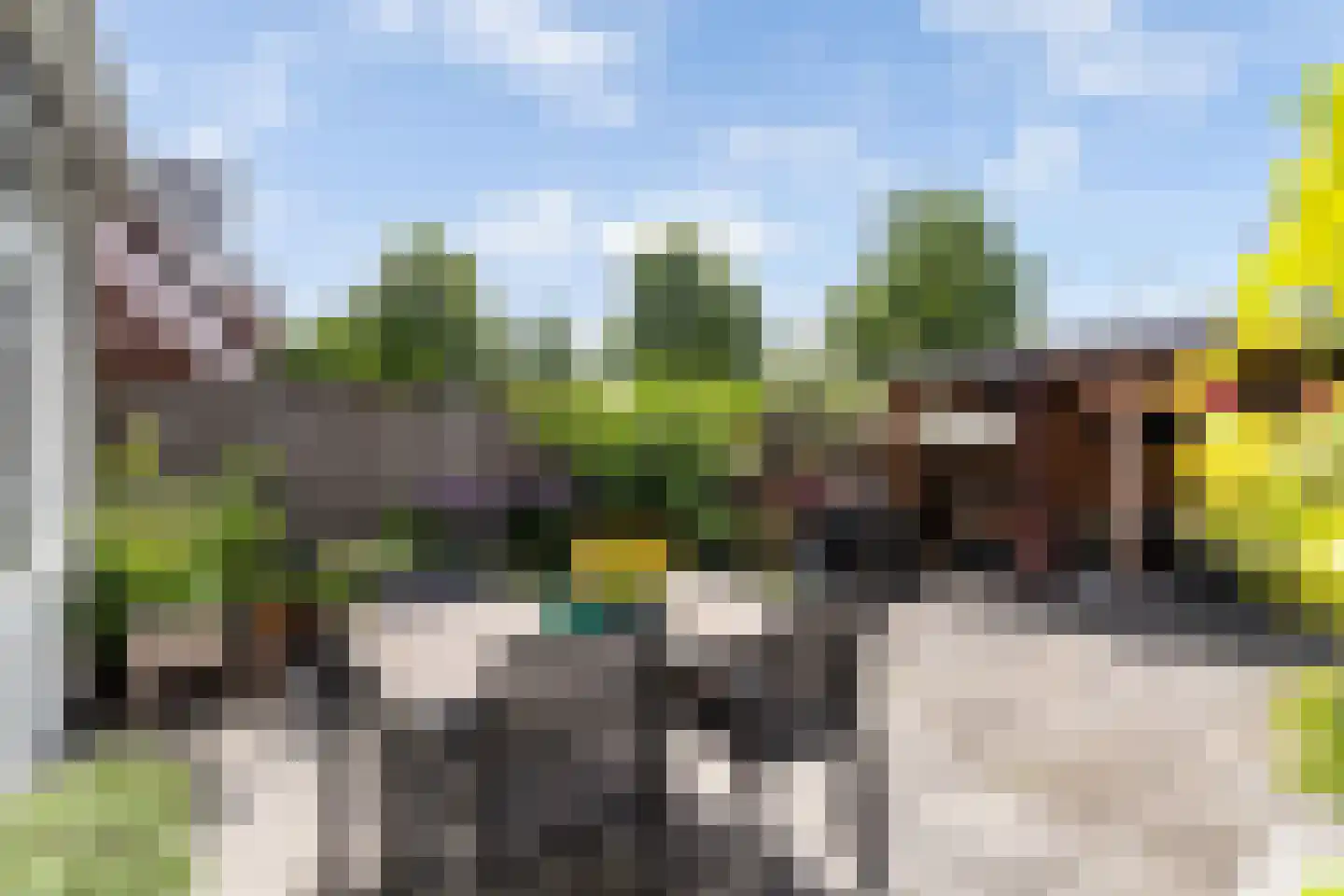 Leukerhof 27 Weert thumbnail 32