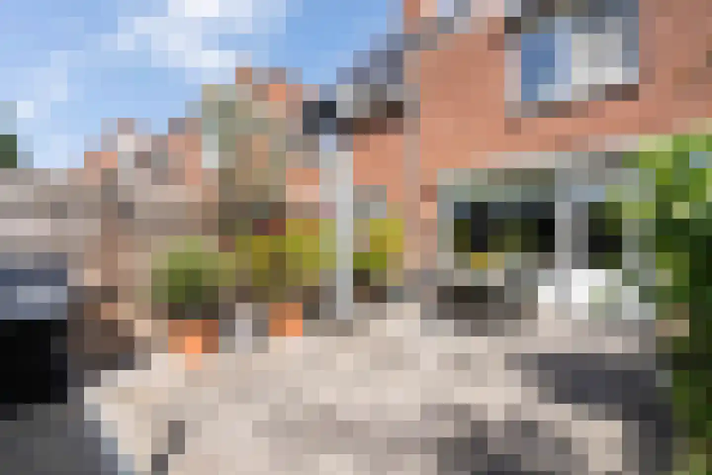 Leukerhof 27 Weert thumbnail 34