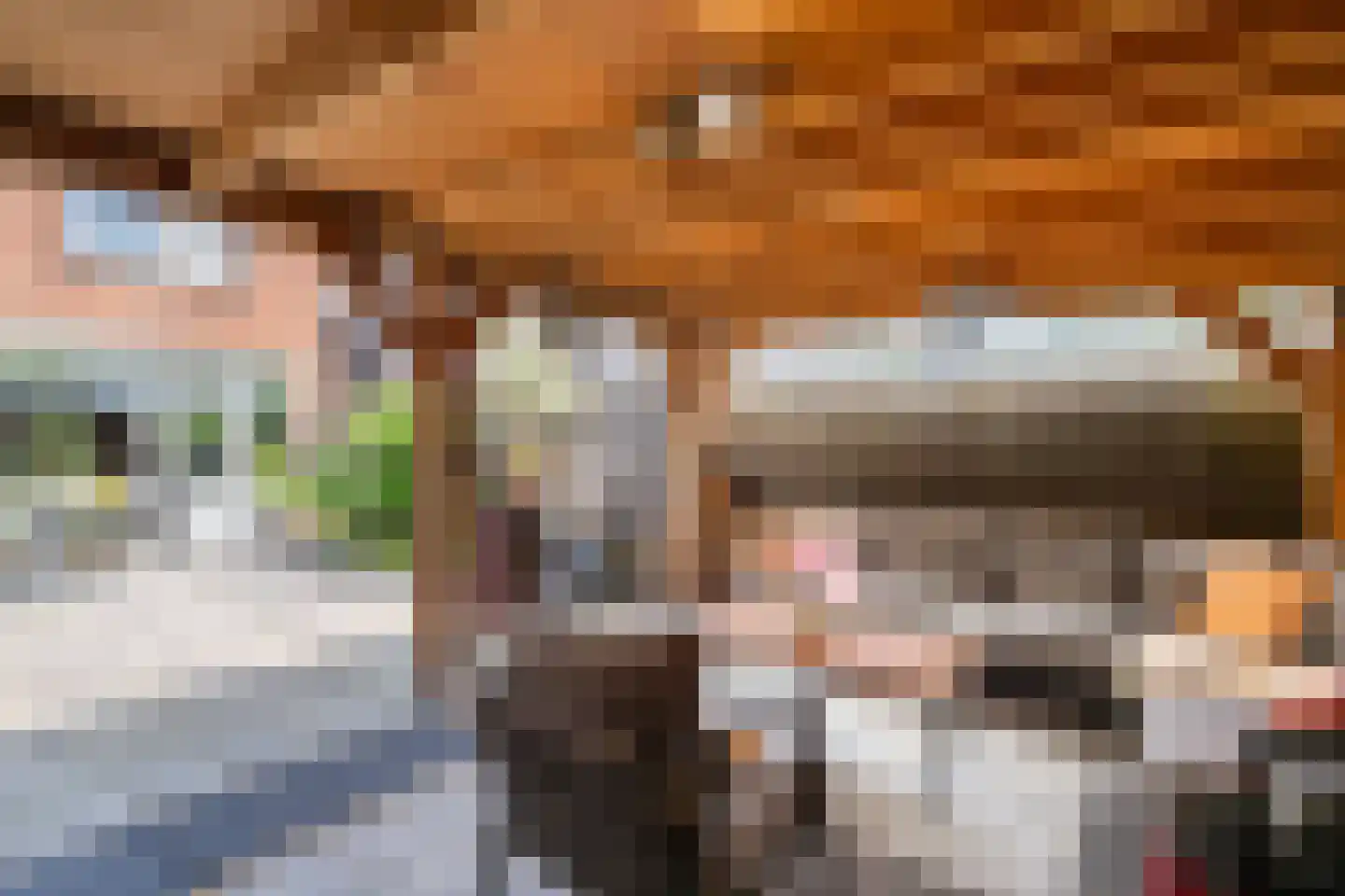 Leukerhof 27 Weert thumbnail 37