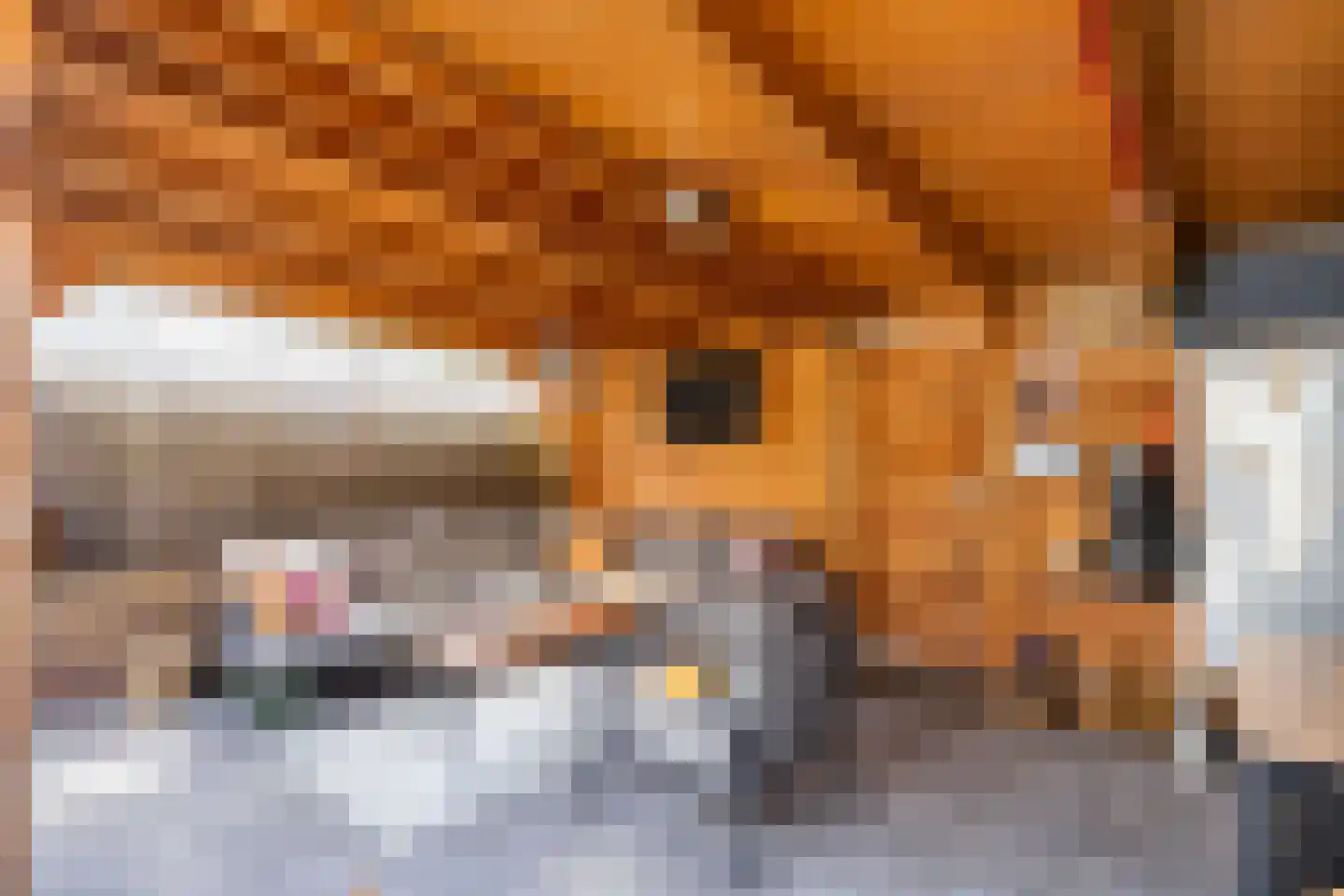 Leukerhof 27 Weert thumbnail 38
