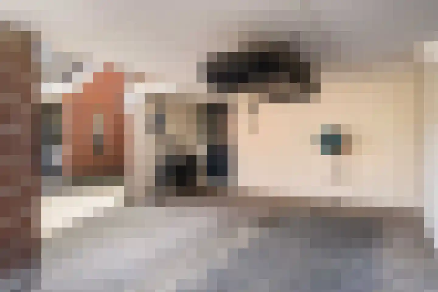 Leukerhof 27 Weert thumbnail 40