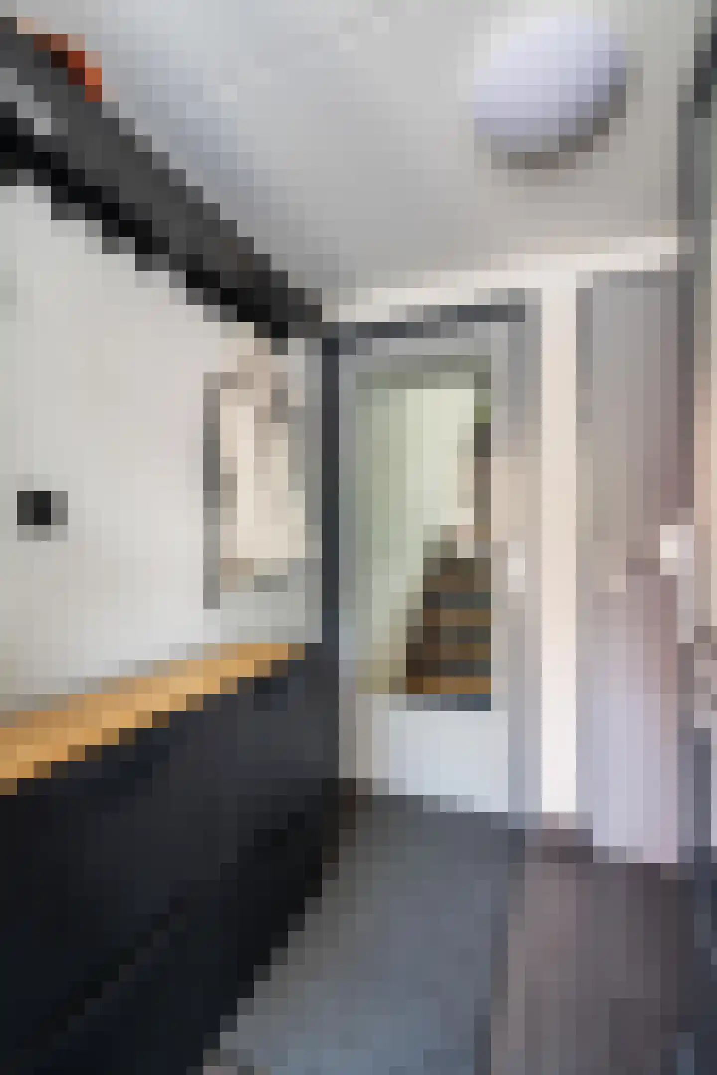 Leukerhof 27 Weert thumbnail 7