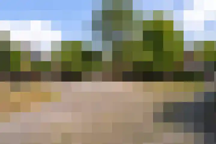 Leukerhof 36 Weert thumbnail 33