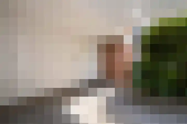 Leukerhof 36 Weert thumbnail 7