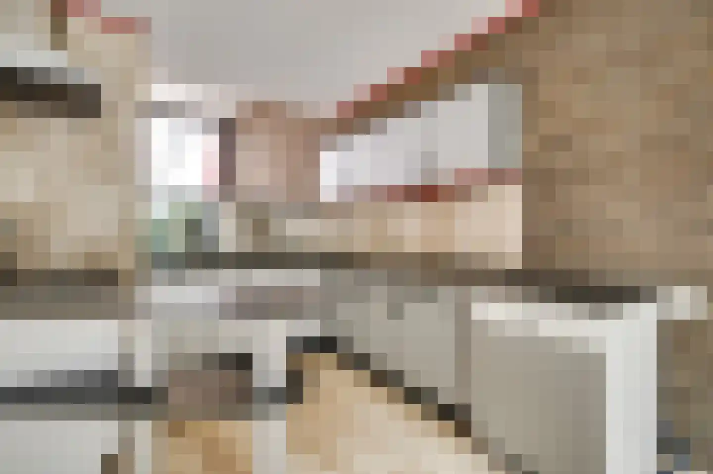 Leukerhof 41 Weert thumbnail 12