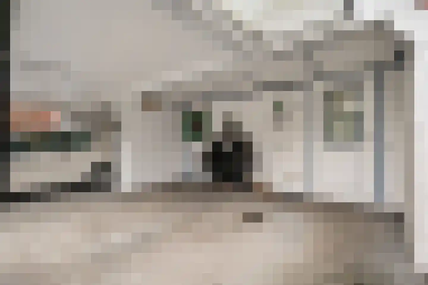 Leukerhof 41 Weert thumbnail 6
