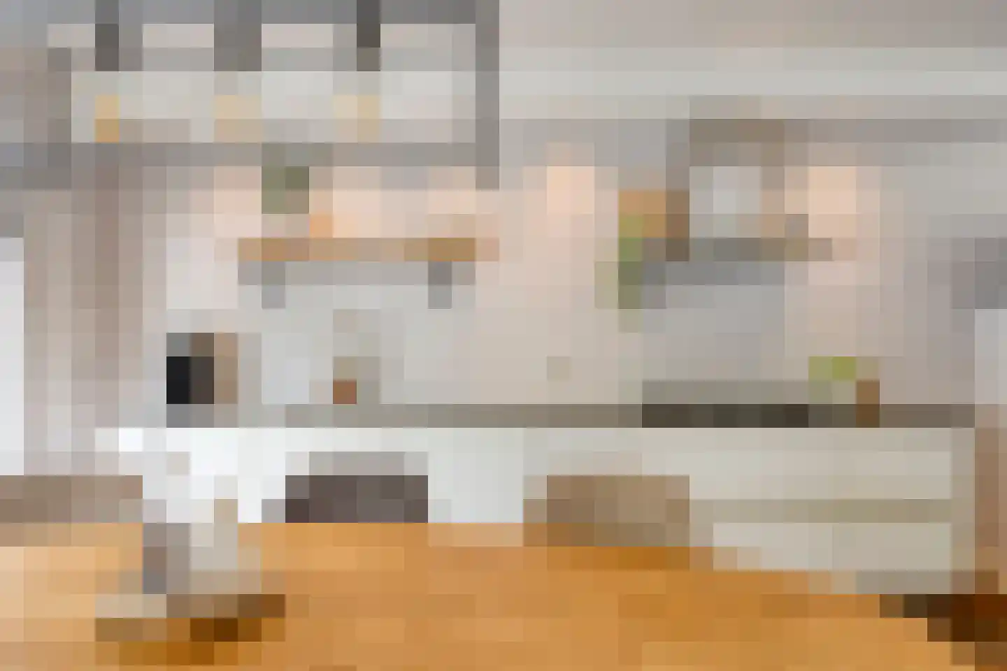 Leukerhof 7 Weert thumbnail 15