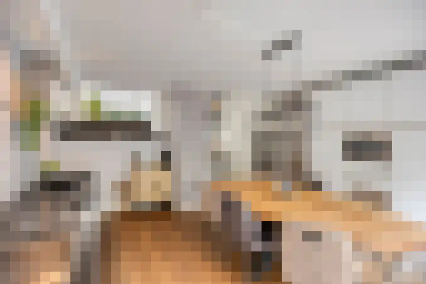 Leukerhof 7 Weert thumbnail 16