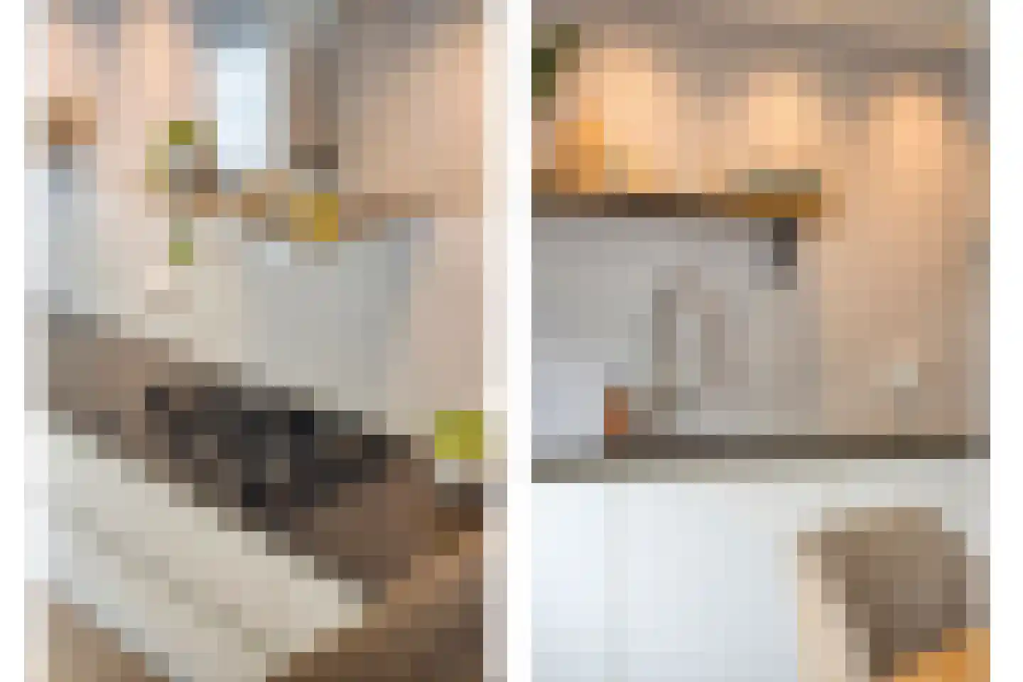 Leukerhof 7 Weert thumbnail 17
