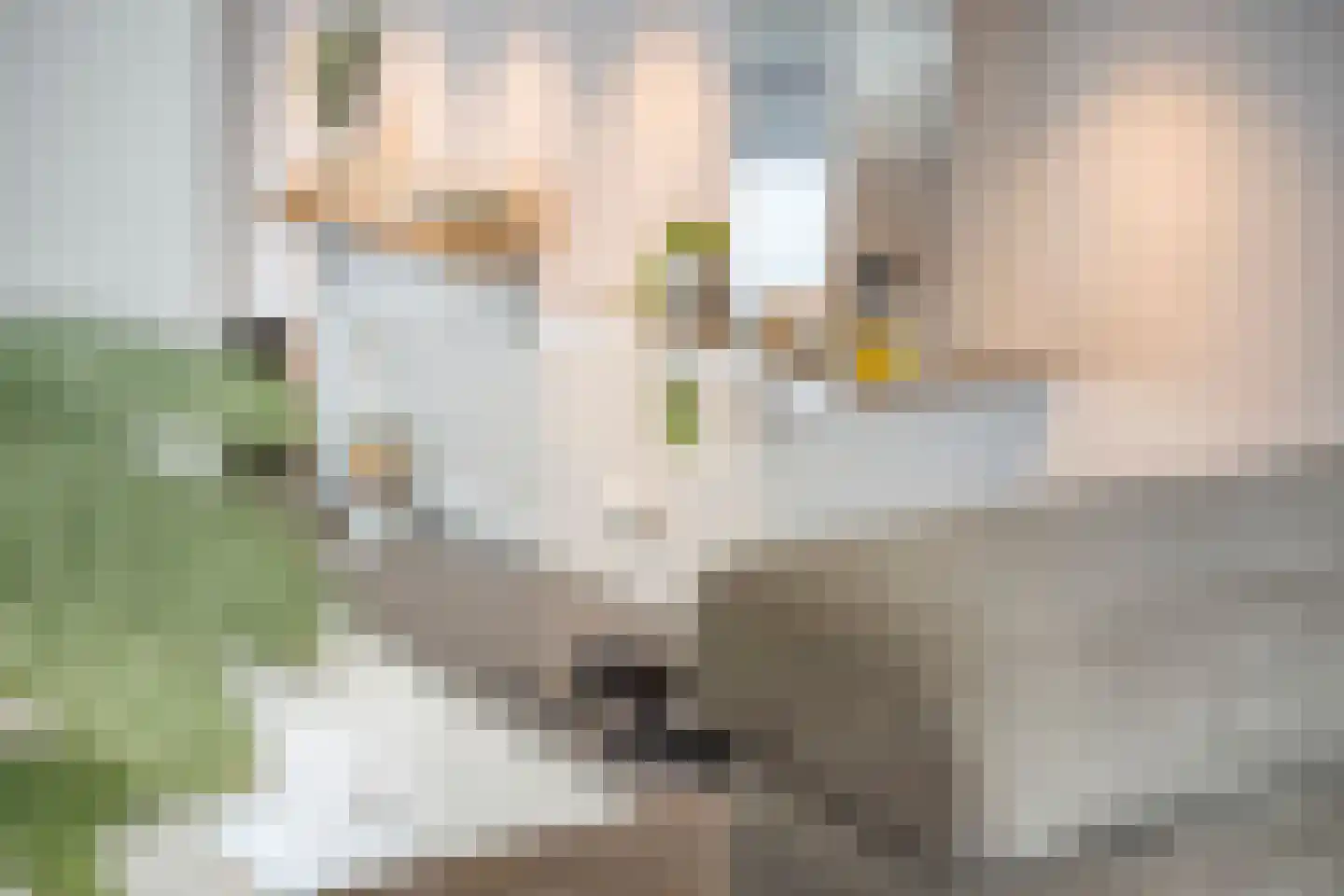 Leukerhof 7 Weert thumbnail 20