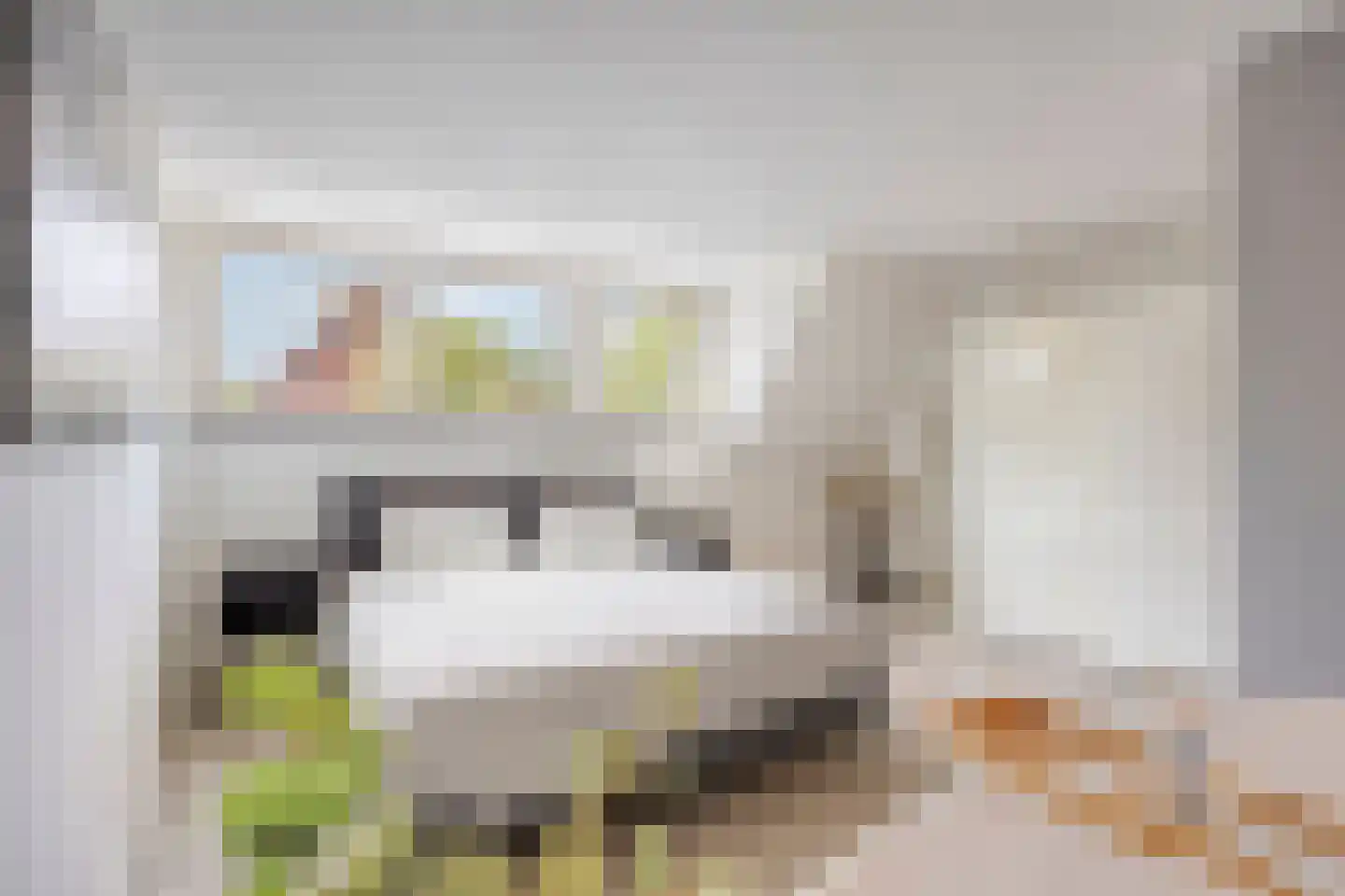 Leukerhof 7 Weert thumbnail 30