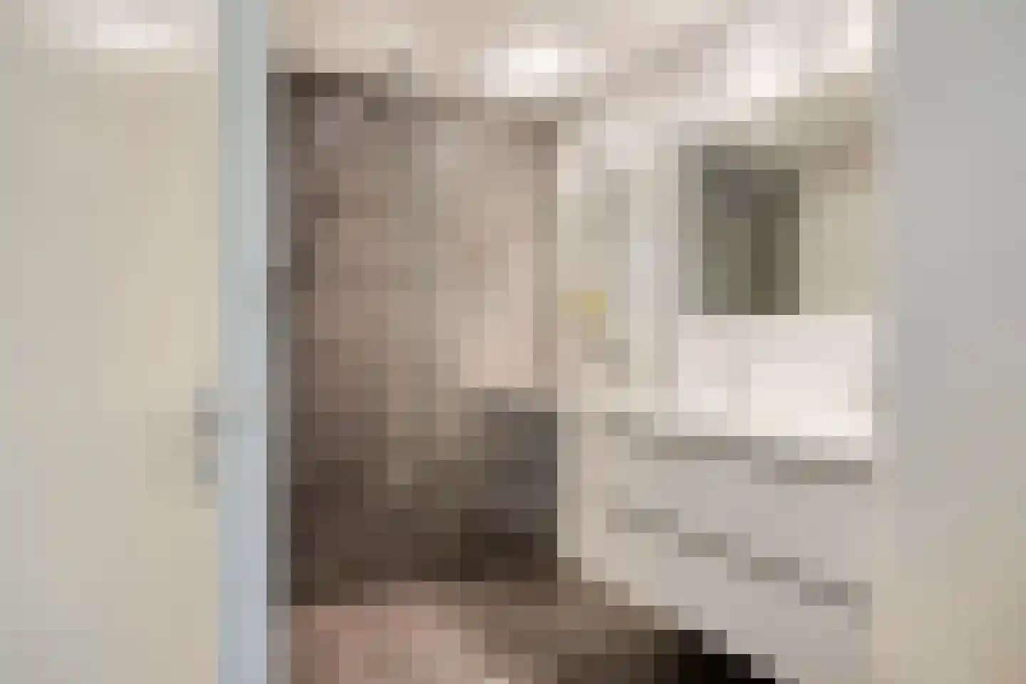 Leukerhof 7 Weert thumbnail 32