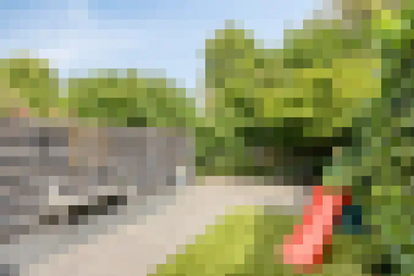 Leukerhof 7 Weert thumbnail 38
