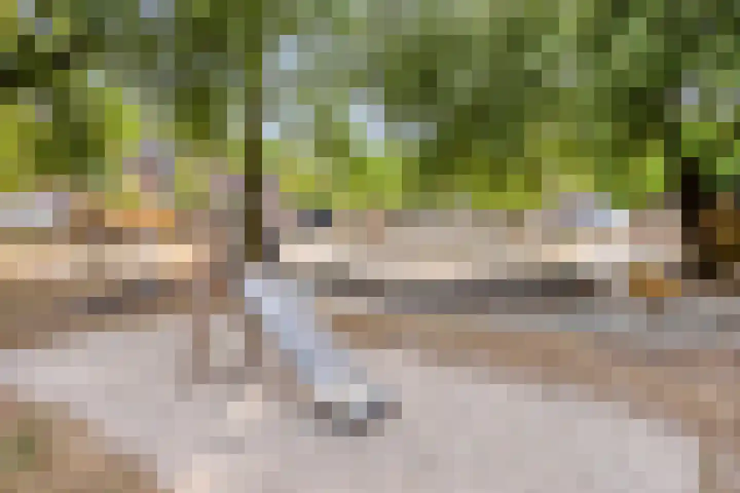 Leukerhof 7 Weert thumbnail 46