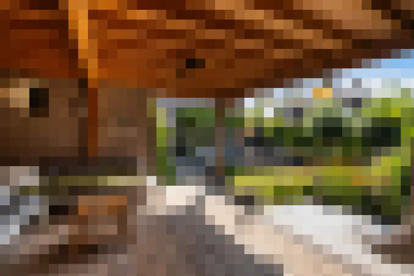 Leumehofstraat 15 Weert thumbnail 53