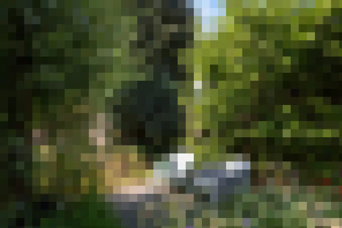 Leumehofstraat 15 Weert thumbnail 57