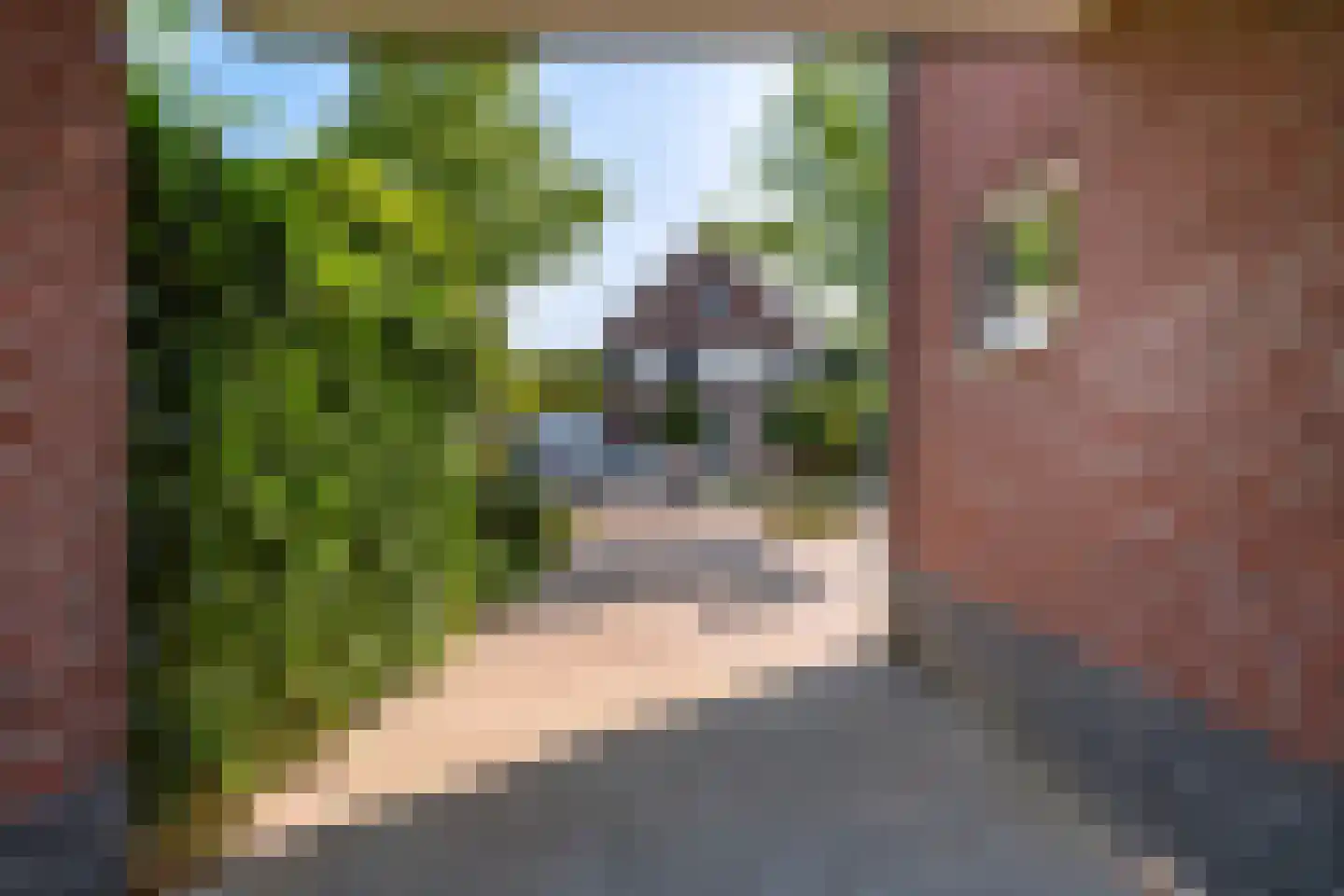 Leumehofstraat 15 Weert thumbnail 63